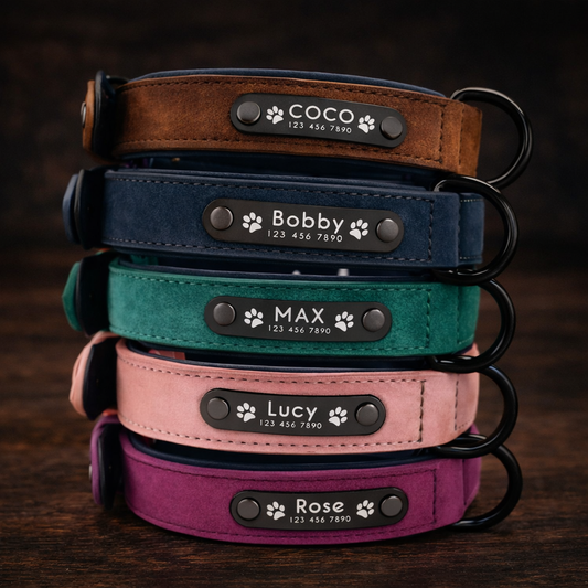 Personalized Leather Dog Collar with Laser Engraved Custom Padded Pet Collar for Small Medium Large Dogs Heavy Duty Leather Dog Gift Tigre X Studio