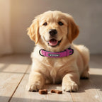 Personalized Leather Dog Collar with Laser Engraved Custom Padded Pet Collar for Small Medium Large Dogs Heavy Duty Leather Dog Gift Tigre X Studio