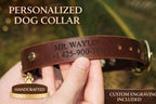 Luxury Leather Dog Collar & Leash Set  Personalized, Full Grain Leather, Solid Brass Hardware - Tigre X Studio