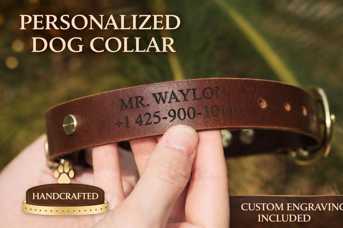 Custom engraving detail on a leather dog collar and leash set